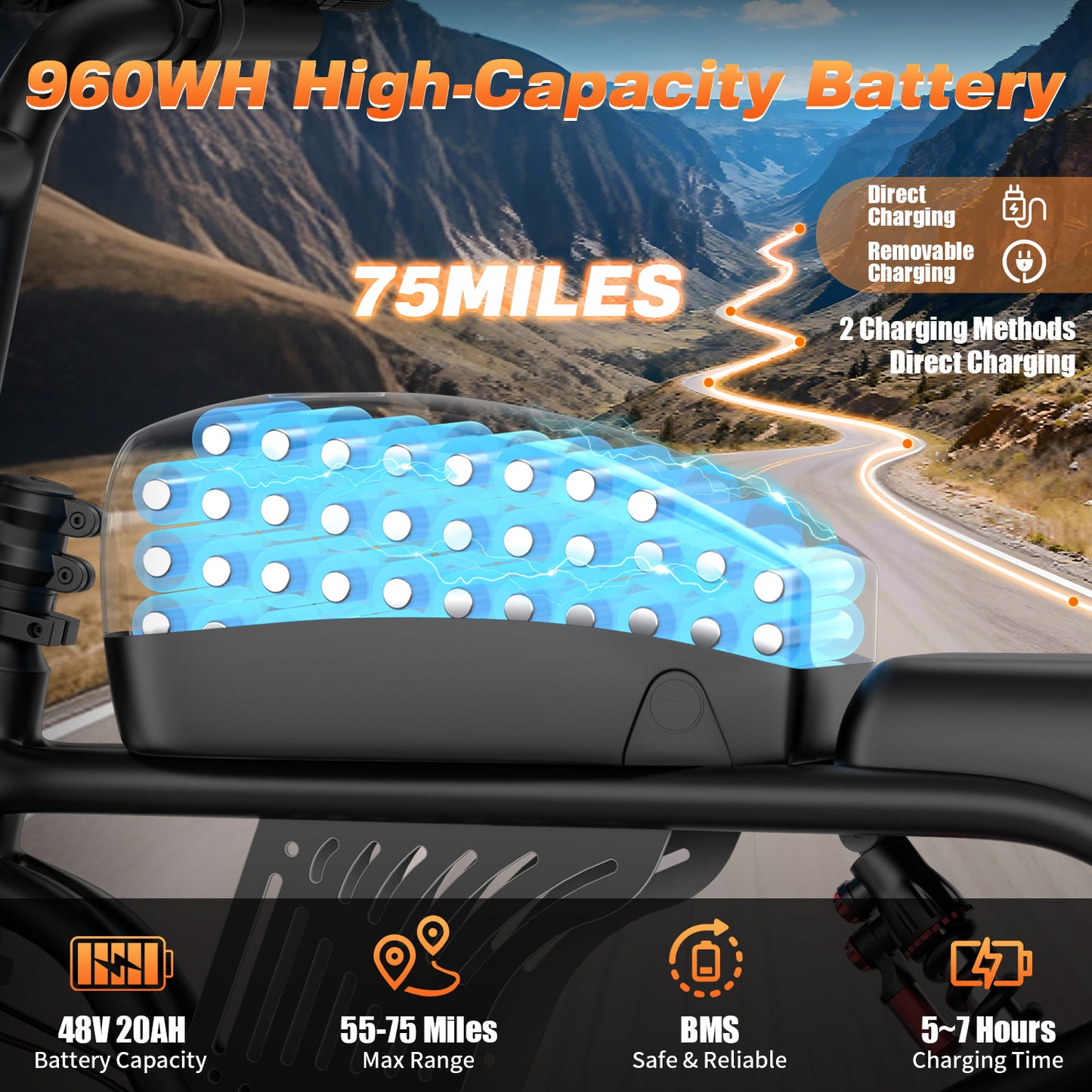 2200W Peak Electric Bike for Adults-F30, 20"4.0 Fat Tire Ebike, 7-Speed 48V 20Ah Cargo Ebike,All-Terrain Off-Road Electric Mountain Bicycle，Full Suspension /Disc Brake UL2849, Free Riding Bag,440Lbs